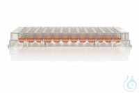 Nunclon Sphera mikroplakalar 96 oyuklu 300 µl 96 oyuklu plaka Nunclon™...