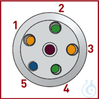 Reaktör Kapağı DN 100, PTFE, 31mm yükseklik, 5 bağlantı, NPT 1/4"; bağlantı...