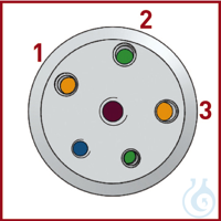 Reaktör Kapağı DN 150, PTFE, yükseklik 25mm, 5 bağlantı, NPT 1/4"; bağlantı...