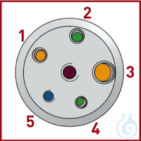 Reaktör Kapağı DN 150, PTFE, yükseklik 25mm, 5 bağlantı, NPT 1" bağlantı...