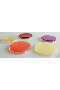 Azide Dekstroz Suyu, 500 gr